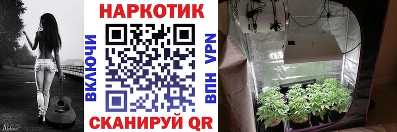 Виды наркотиков купить Славгород Галлюциногенные грибы Каннабис Cocaine