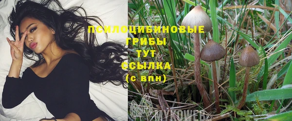 кристаллы Инсар