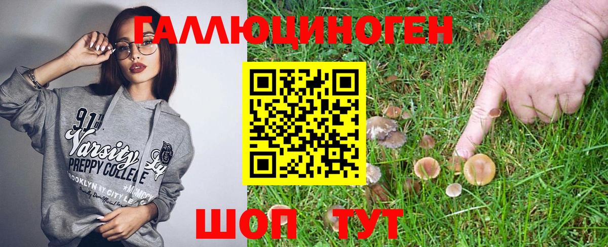 Галлюциногенные грибы мухоморы Славгород